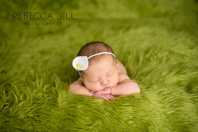 orlando newborn photographer